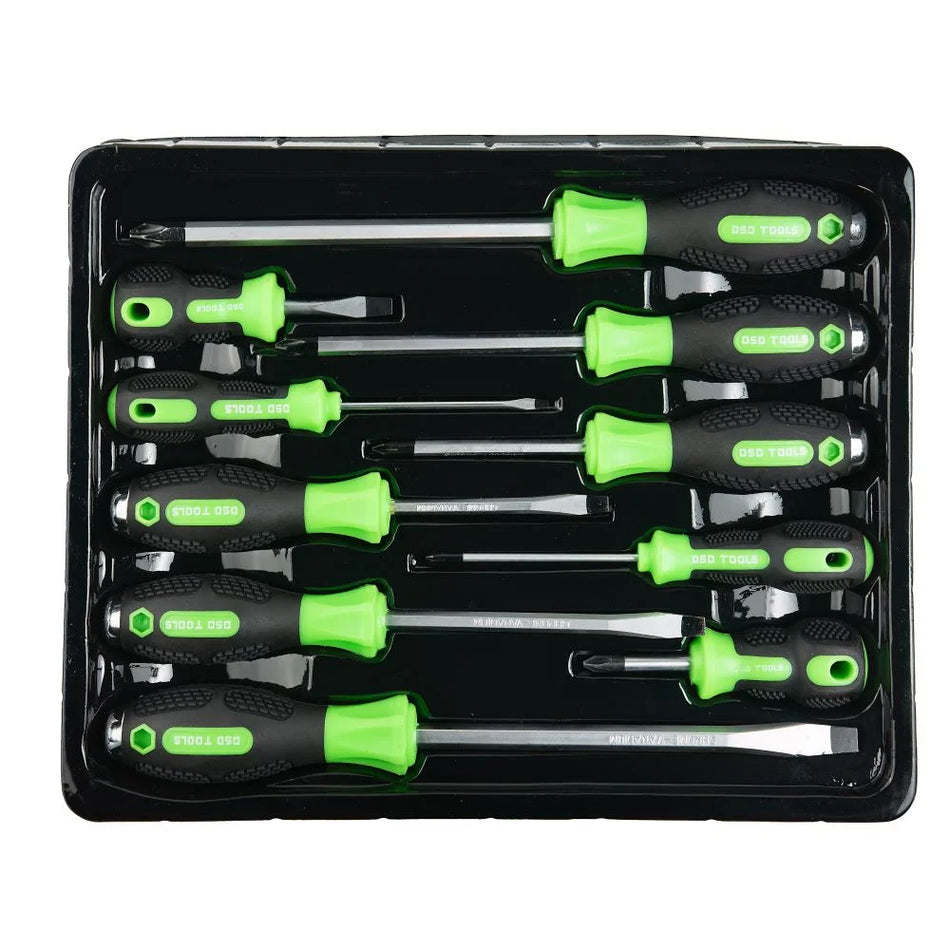 10-PIECE SCREWDRIVER SET: PHILLIPS AND FLATHEAD ENDS DS1047