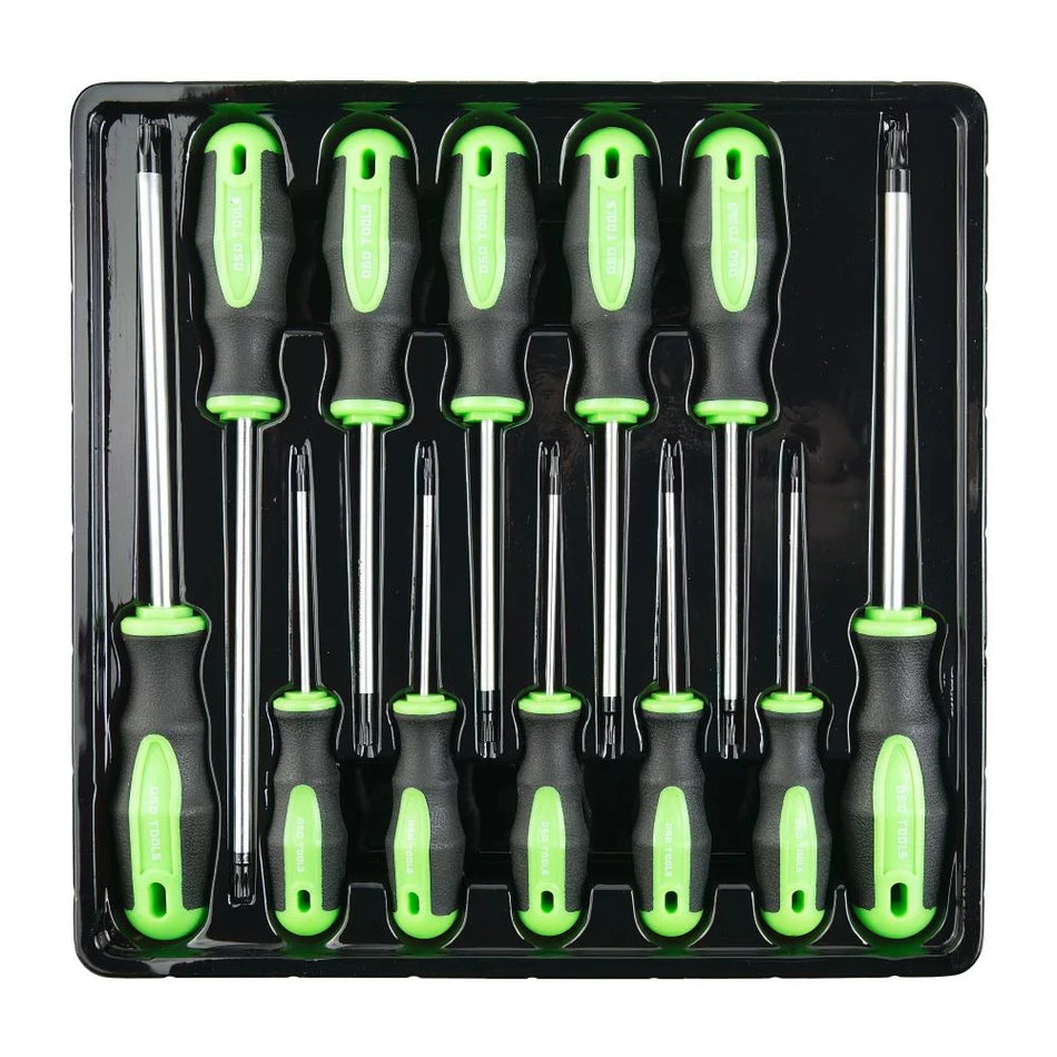 12-PIECE PROTECTIVE STAR SCREWDRIVER SET DS1051