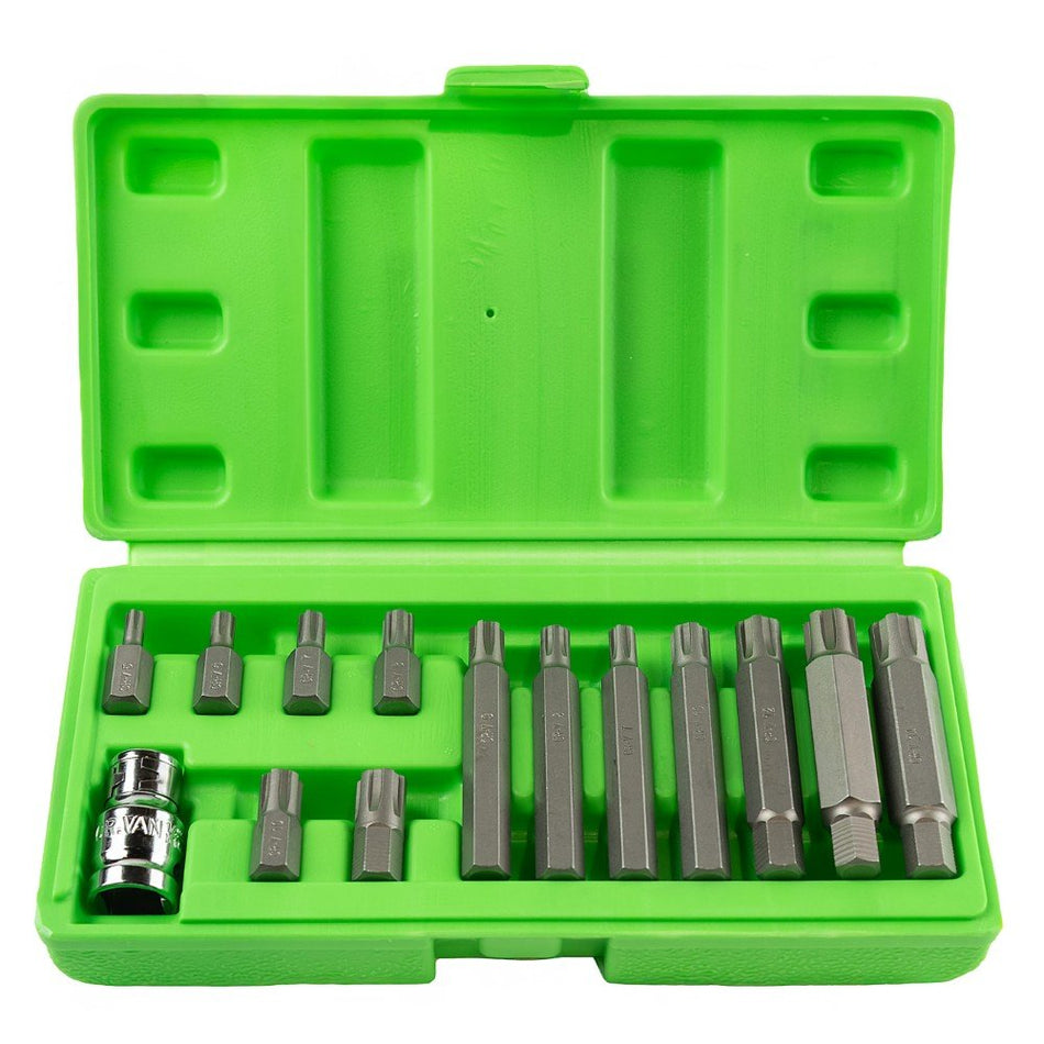 1/2" PAVAROS 10 mm "RIBE" bit set, 14 pcs DS1213
