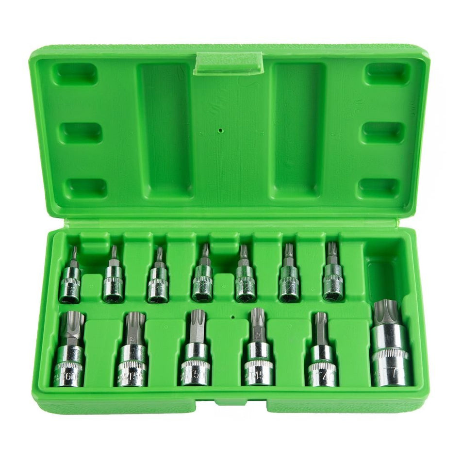 Set of Star "Torx" Sockets and Bits, 13 pcs. DS1235