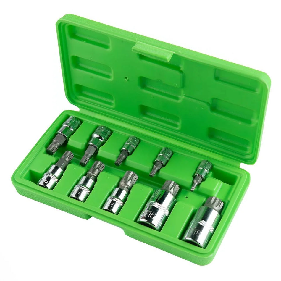 Two-component screwdriver bits, 10 pcs. DS1239