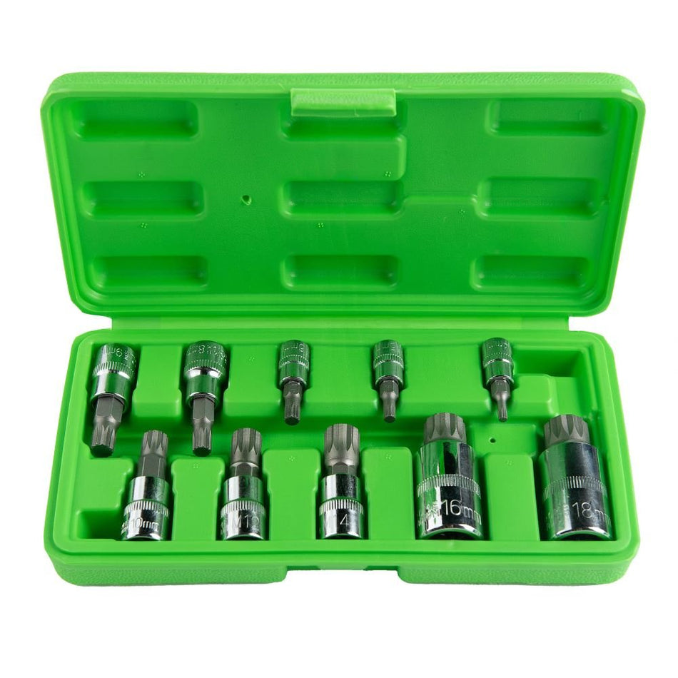 Two-component screwdriver bits, 10 pcs. DS1239